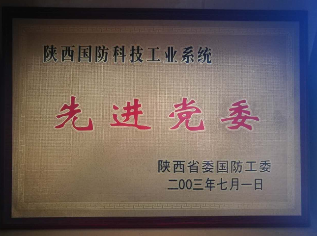 先進黨委